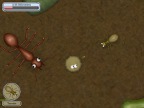 Bugs